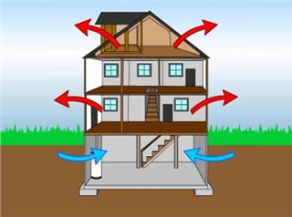 霉菌螨虫：你的地下室如何影响家庭空气质量