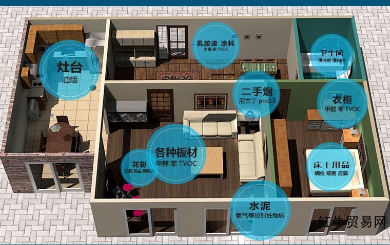 室内污染物 室内污染物